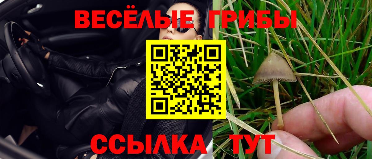Галлюциногенные грибы прущие грибы  Вход с VPN  Невинномысск 